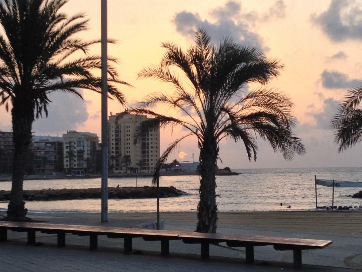 Studio di 23 m² in Appartamento con 1 bagno privato in zona Torrevieja Esterno foto